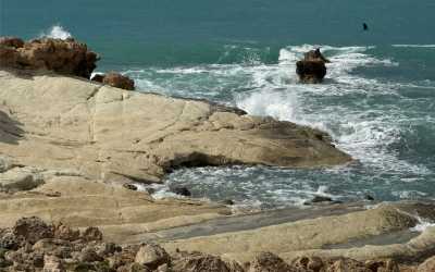 Wycieczka fakultatywna, Marathon [41] Jeep Safari - Narodowy Park Akamas z Cypru Północnego