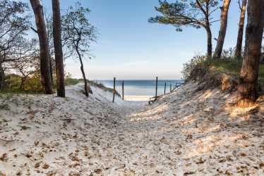 Obóz młodzieżowy, BAŁTYCKA PRZYGODA - Lasertag, wycieczka do Kołobrzegu, a dla chętnych Tropical Islands, Heide Park i Militarna Przygoda. Kolonie 7-13 lat, Obóz 14-18 lat