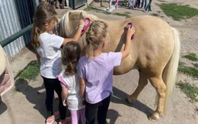 Obóz młodzieżowy, Julinek – Wioo Przygodo z Hobby Horse B&B Julinek Park, 7 dni 9-12 lat