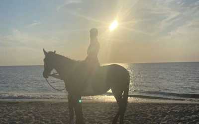 Obóz młodzieżowy, Dąbki - obóz konny nad morzem OW Duet , 10 dni 10-16 lat